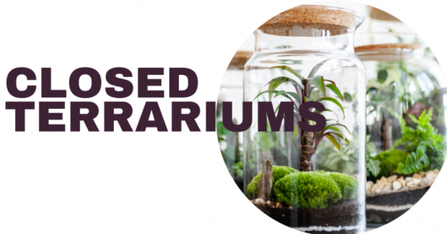 Text reads, "Closed Terrariums" with an image of a plant and moss in a jar.