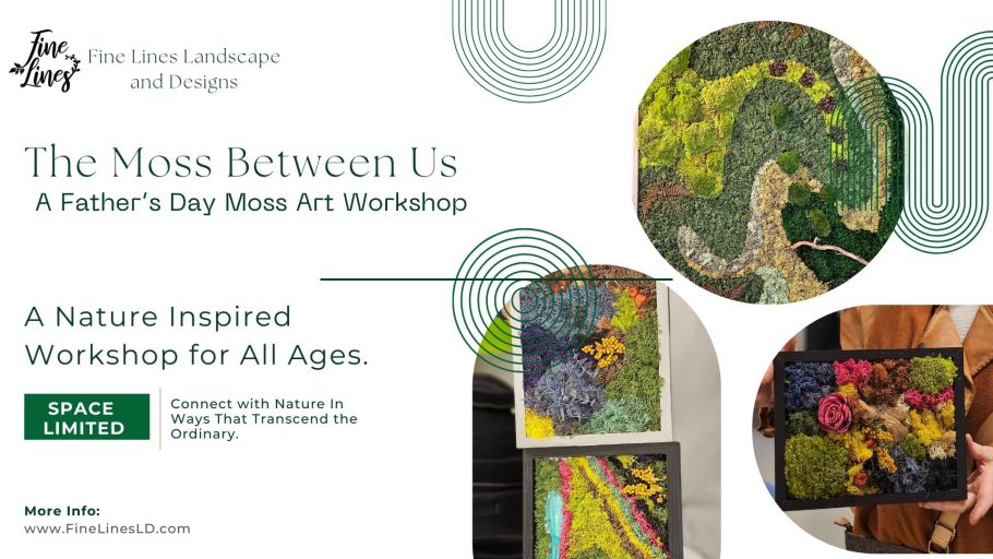 Promotional poster with photos of moss art.