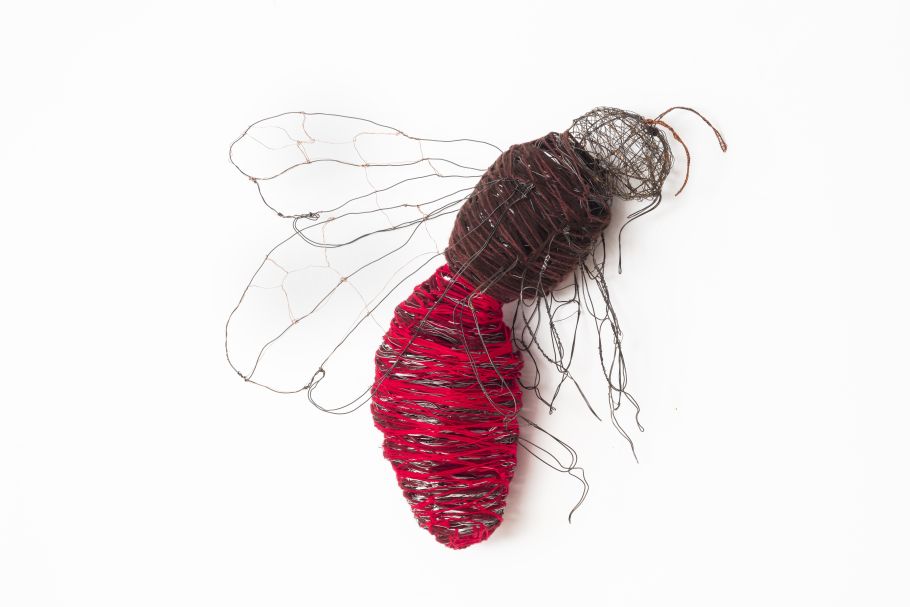 Cuckoo Nomad Bee 2