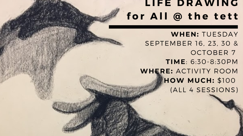 alt="decorative"