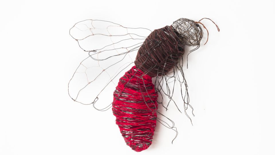 Cuckoo Nomad Bee 2