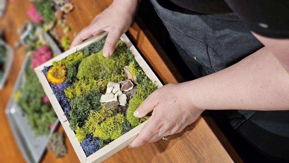 Someone making moss art