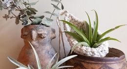 Laura Dyer of Knot Your Girl macrame air plant pod